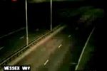 Extraña criatura en una autopista de UK
