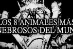 Los animales más tenebrosos