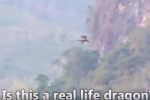 Graban un dragón volando en China