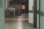 Enfermeras graban fantasma en hospital