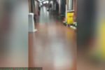 Fantasma en el hospital Garrahan