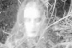 Imágenes paranormales