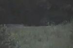 Gettysburg fantasma